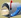 contactus icon